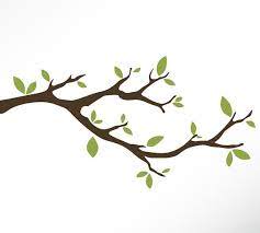 Leafing out webinar