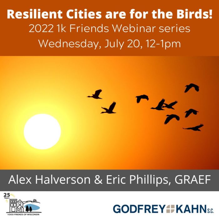 Resilient Cities are for the Birds Webinar